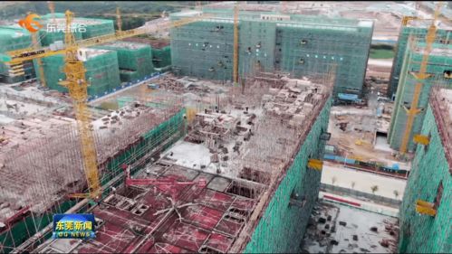 我市提前完成年度重大項(xiàng)目開工任務(wù)，累計(jì)新開工142個(gè)